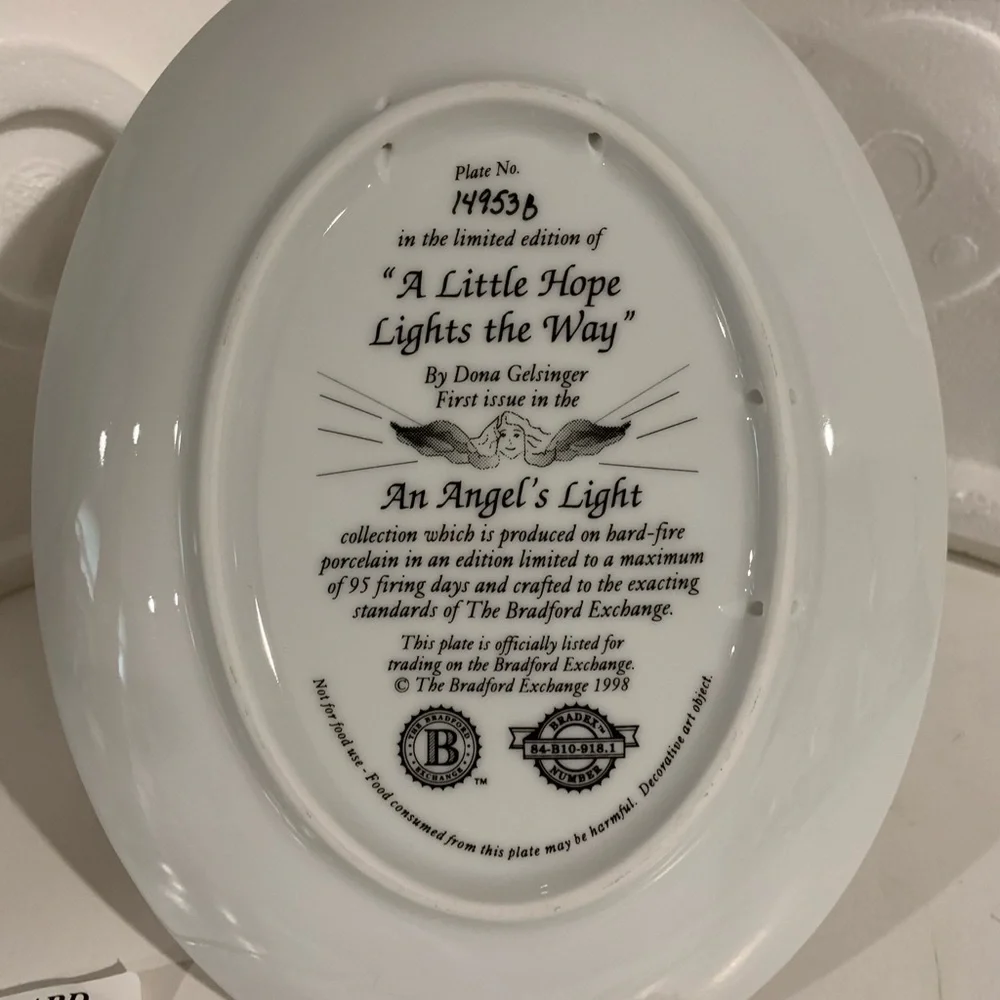 The Bradford Exchange A Little Hope Lights the Way by Dona Gelsinger Plate